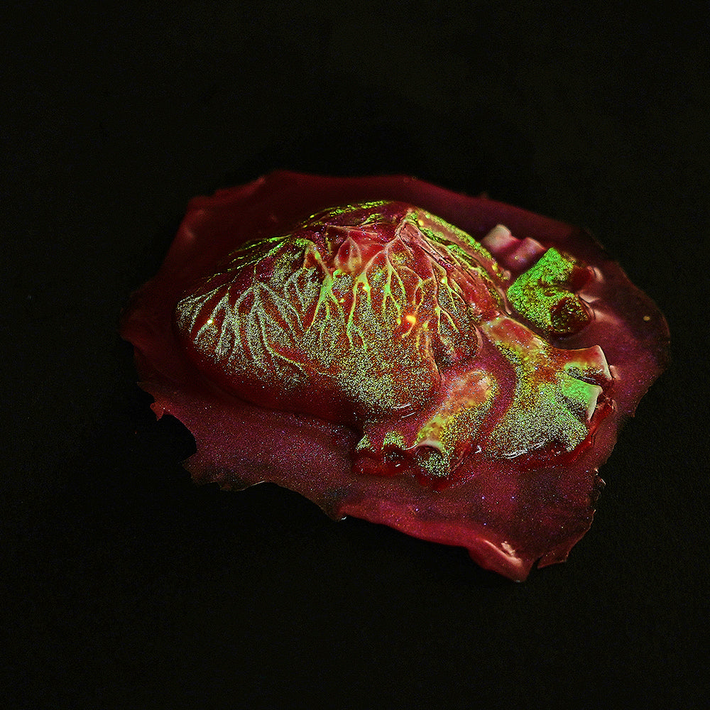 taba squishy toy