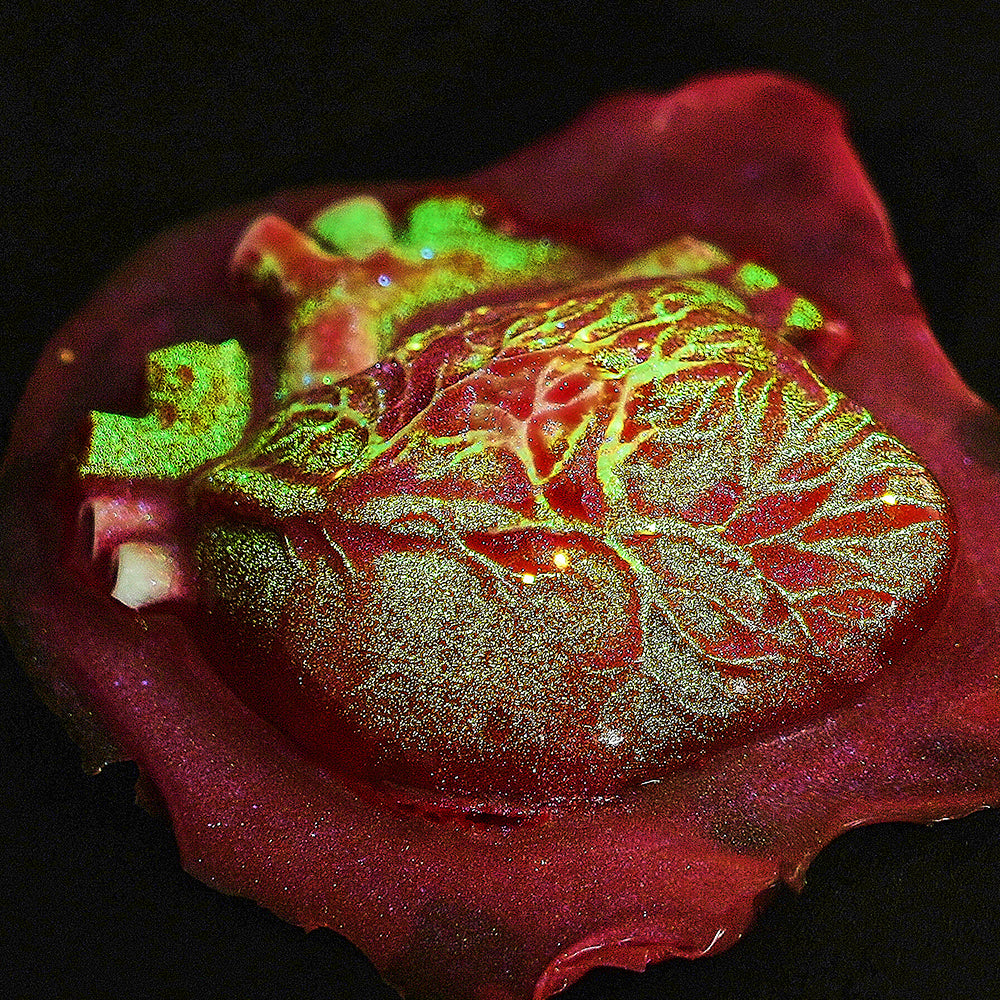 taba squishy toy